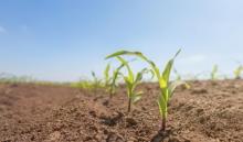 Why do we measure so many nutrients? 