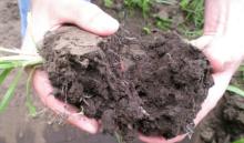 Why do we measure texture of the soil? 