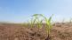 Why do we measure so many nutrients? 