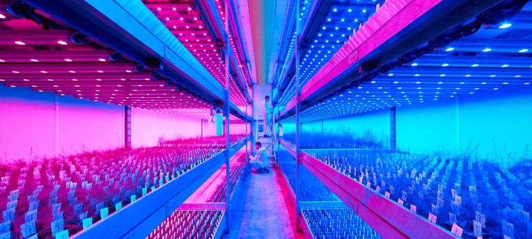 Eurofins introduceert Vertical Farming Analyses 