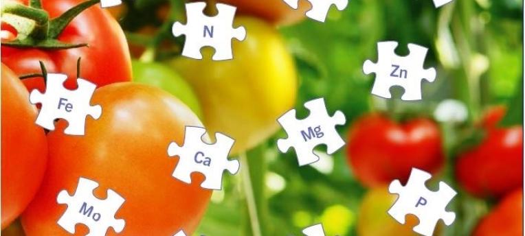 Eurofins publiceert whitepaper over nutriënten in de tuinbouw