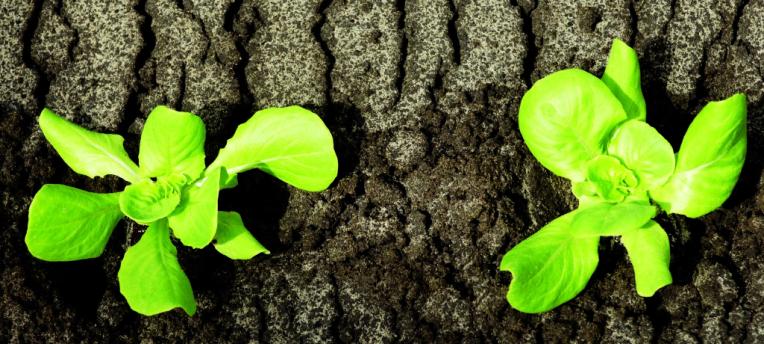 Soil fertility and the Eurofins concept