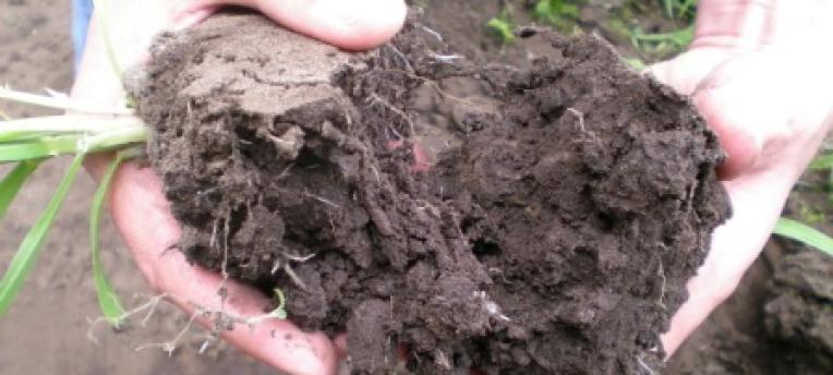 Why do we measure texture of the soil? 